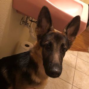 Meet your Posher, Paupaulette